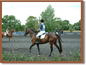 Riders and horses warming up at show jumping event.