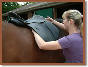 Karen Lewis fitting a new saddle to a horse.