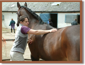 Fabienne Brochier conducting a massage session on her mare.