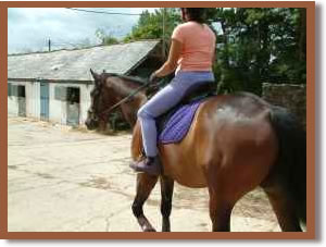 Rider and horse leaving the stables for a light hack.