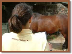 Fabienne Brochier conducting the initial conformation observation prior to massage.