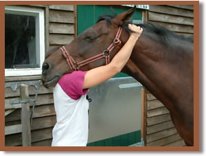 Fabienne Brochier conducting a neck stretch called 'The hug' on her mare.