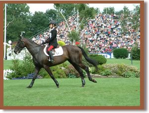 Rider and horse competing at a show jumping event.